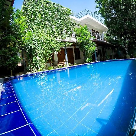 Mirissa Blue Whale Holiday Hotel ภายนอก รูปภาพ