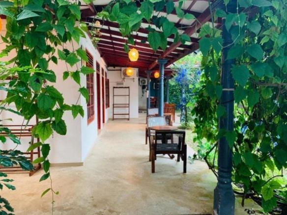 Mirissa Blue Whale Holiday Hotel ภายนอก รูปภาพ