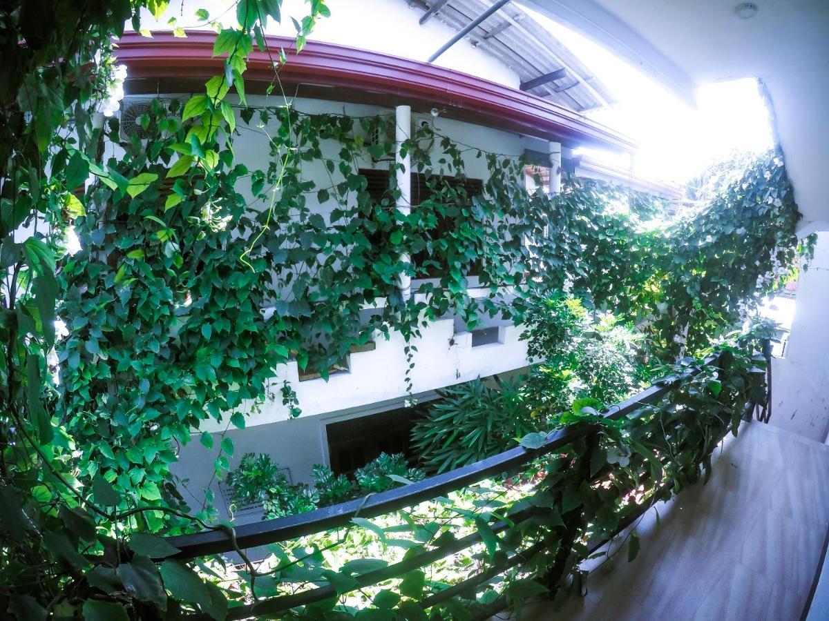 Mirissa Blue Whale Holiday Hotel ภายนอก รูปภาพ