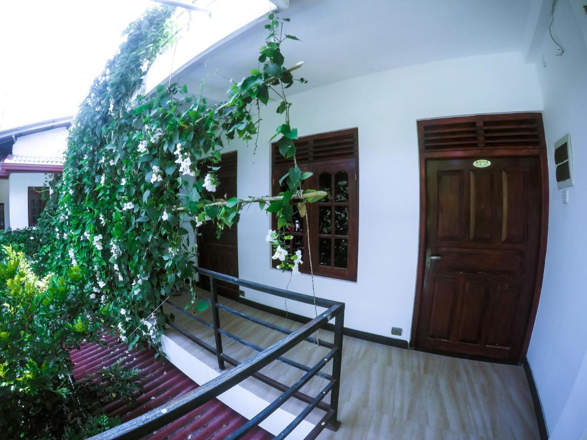 Mirissa Blue Whale Holiday Hotel ภายนอก รูปภาพ